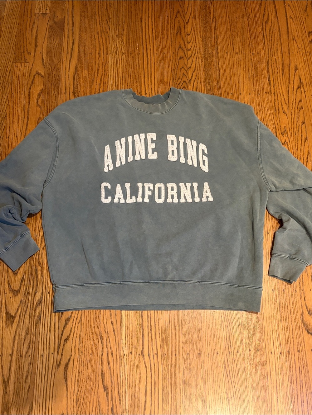 Anine Bing Sweatshirt